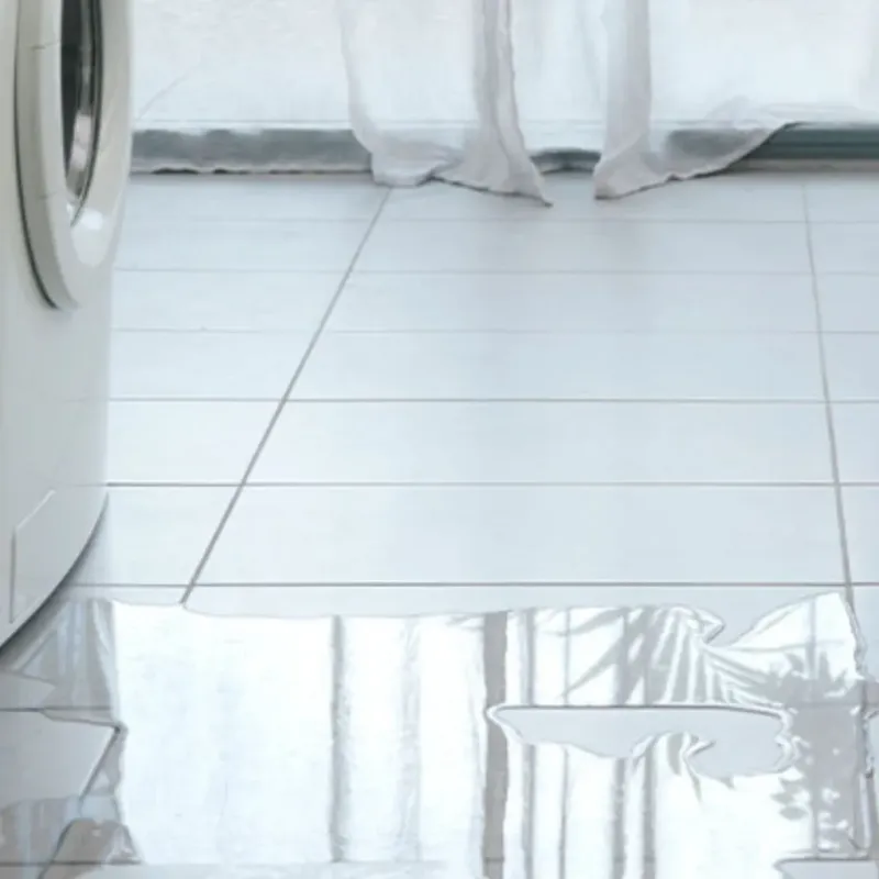 Appliance Leak Cleanup in Durand, IL