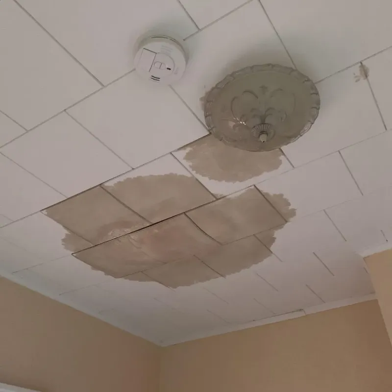 Ceiling Water Damage Repair in Durand, IL