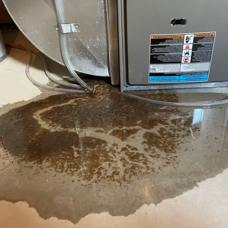 Pipe Burst and Leak Restoration in Durand, IL