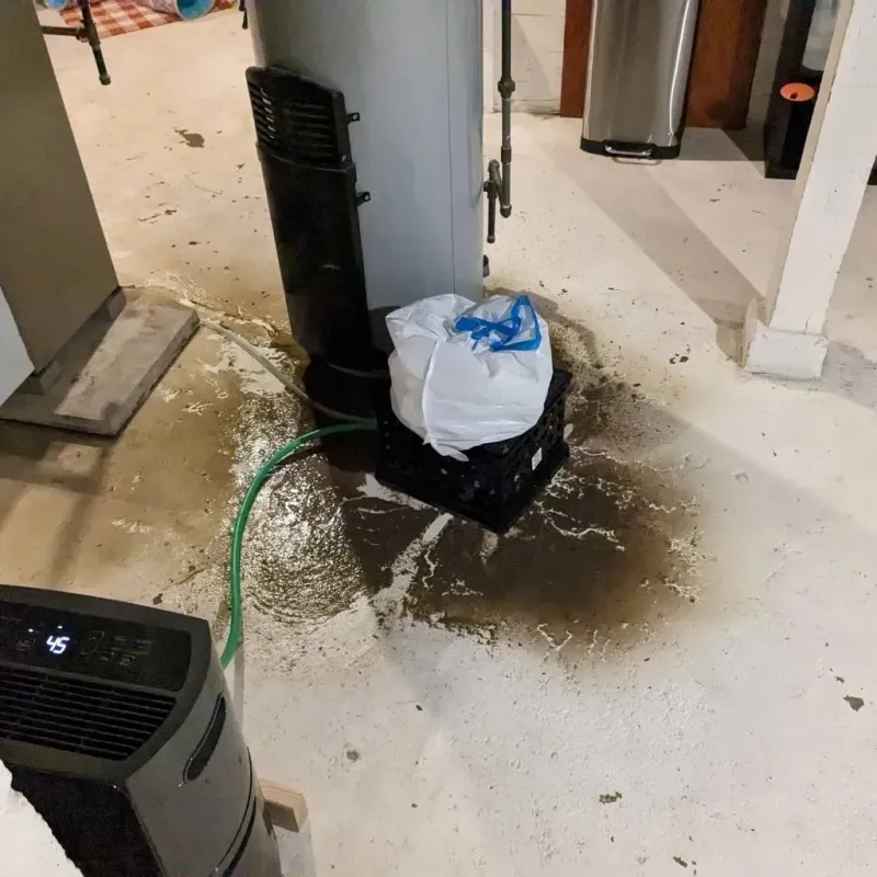 Sewage Backup Cleanup Service in Durand, IL